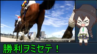 エガオに花束ヲ　part.20【WinningPost10 2024】
