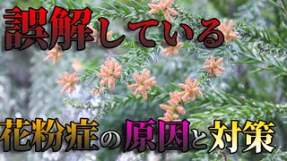 【ゆっくり雑学解説】最新！花粉症の原因と対策、治療法を簡単完全解説（前編）