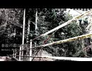 【VOICEVOXオリジナル曲】春故の毒は零落たる所以か