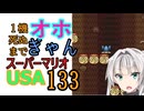1機しぬまでオホギャンマリオUSA【クロワちゃん実況プレイ】133