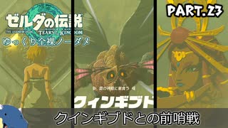 『11種の縛りプレイ＃23』ノーダメージでギブドの女王に出会い雷の神殿に突入する全裸リンク【ゼルダの伝説ティアーズオブザキングダム/ゆっくり実況】