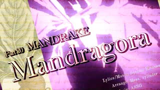 【合作単品】Mandragora.MANDRAKE