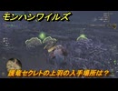 モンハンワイルズ　護竜セクレトの上羽の入手場所は？　白の小羽根　＃１２９　【モンスターハンターワイルズ】