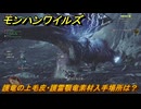 モンハンワイルズ　護竜の上毛皮・護雷顎竜素材入手場所は？　＃１３２　【モンスターハンターワイルズ】