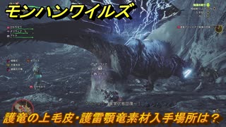 モンハンワイルズ　護竜の上毛皮・護雷顎竜素材入手場所は？　＃１３２　【モンスターハンターワイルズ】