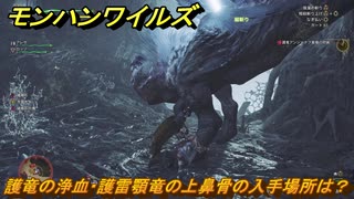 モンハンワイルズ　護竜の浄血・護雷顎竜の上鼻骨の入手場所は？　＃１３３　【モンスターハンターワイルズ】