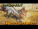 モンハンワイルズ　炎尾竜の大トサカの入手場所は？　追って追われて炎の尾　＃１３６　【モンスターハンターワイルズ】