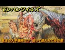 モンハンワイルズ　竜玉の入手場所は？　追って追われて炎の尾　＃１３７　【モンスターハンターワイルズ】