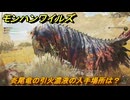 モンハンワイルズ　炎尾竜の引火濃液の入手場所は？　追って追われて炎の尾　＃１３８　【モンスターハンターワイルズ】
