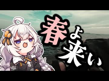 房総の冬の厳しさを分からせられるおじさんを実況する紲星あかり【VOICEROIDフィッシング】