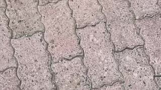 76311146294__943F6EF4-6A2D-4ADB-BF9E-A10D6056CD55