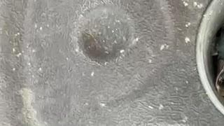 76311182696__640C3FCD-0108-49E2-9954-6F477187224B