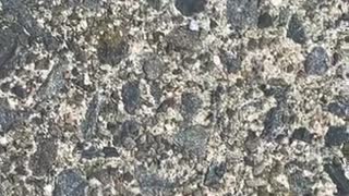 76311186889__A353817A-B218-4199-AA7C-CA049420A736