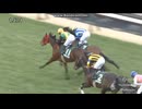 2025 中山牝馬ステークス (GⅢ)　シランケド