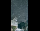 雪が降りました