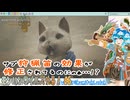 【実況】モンハンワイルズやる！【6】