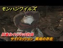 モンハンワイルズ　狂竜化イャンクック討伐　サイドミッション　異端の存在　＃１５５　【モンスターハンターワイルズ】