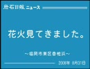 東区の花火大会に行ってきました／岩石日報ニュース(2008年8月31日号)