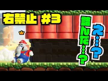 誰も知らない仕様で"右入力せず"にマリオを進めていく男【右禁止ワンダー実況3】