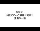 【種牡馬予想】弥生賞ディープインパクト記念 G2（2025年3月9日 中山 11R）