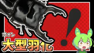 【クワガタ飼育】ダエダリオォン！アォン･･･