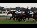 【現地観戦】第43回中山牝馬ステークス【シランケド】