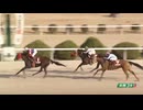 2025年3月8日佐賀競馬3R レディスジョッキーズシリーズ２０２５ 佐賀ラウンド 第１戦(C2-13組) ピークカラー