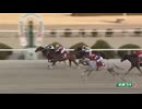 2025年3月8日佐賀競馬5R レディスジョッキーズシリーズ２０２５ 佐賀ラウンド 第２戦(C1-6組) バイコーン