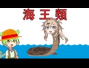 ズンピース