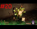 【実況】常に死と隣り合わせの過酷な世界を生き抜く【Outward Definitive Edition】part20
