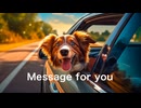 蔦江るね / Message for you【AI作曲】