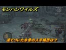 モンハンワイルズ　凍てついた氷骨の入手場所は？素材集めの場所　＃１７３　【モンスターハンターワイルズ】