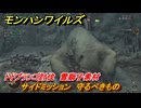 モンハンワイルズ　ドドブランゴ討伐　雪獅子素材　サイドミッション　守るべきもの　＃１７９　【モンスターハンターワイルズ】