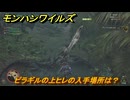 モンハンワイルズ　ピラギルの上ヒレの入手場所は？　ワザモノ・ギャング　＃１８２　【モンスターハンターワイルズ】