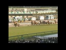 2003 スプリングＳ(GII)　ネオユニヴァース