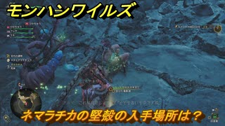 モンハンワイルズ　ネマラチカの堅殻の入手場所は？　夢食う虫も好き好き　＃１８５　【モンスターハンターワイルズ】