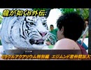 龍が如く８外伝　サブストーリー１７　ミラクルアクアリウム特別編　エジムンド君仲間加入　＃２４７　【Pirates in Hawaii】