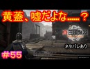 【真・三國無双ORIGINS#55】家政婦（曹操軍兵士）は見た！【ネタバレあり】【Dynasty Warriors: Origins Walkthrough】
