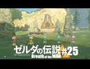 【ゆっくり実況】マスターモードで遊ぶブレワイ#25