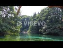 Wide shot of big trees and a green natural lake with a transparent water