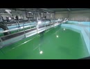 サーモンの陸上養殖　プラント完成　今秋の初出荷めざす　福岡・宗像市