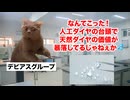 【ダイヤモンド】100年間70億人を騙し続けた「ダイアモンド」の不都合な真実 #猫マニ #猫ミーム