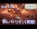 【独り言実況】ゲーム内方向音痴が喘ぐ？モンハンアイスボーン【Part35】