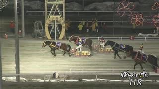 第56回イレネー記念 キョウエイエース