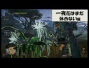 【MHWilds】はぐれ環境調査員の調査記録「一夜花はまだ休めない編」