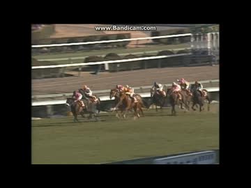 1994 スプリングS(GII) ナリタブライアン - ニコニコ動画
