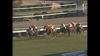 1994 スプリングＳ(GII)　ナリタブライアン