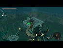 #121【ゼルダの伝説 ティアーズ オブ ザ キングダム】残りの鳥望台を解放していくゾ！