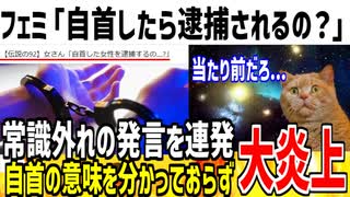 ツイフェミさん「自首したら逮捕されるんですか？」→当たり前だろとネット民に論破されてしまう...