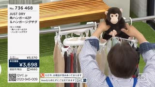 2025/03/10ハンガージグザク　モンQ登場シーン